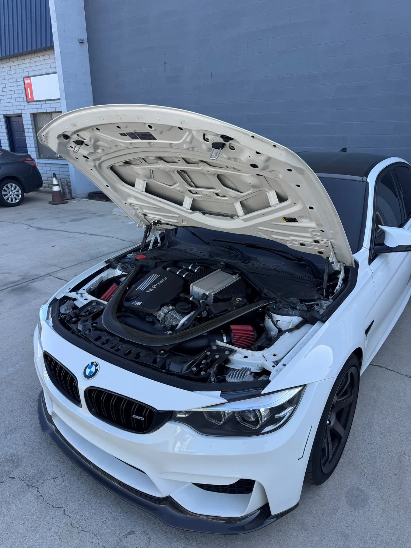 F82 M4 Engine Bay